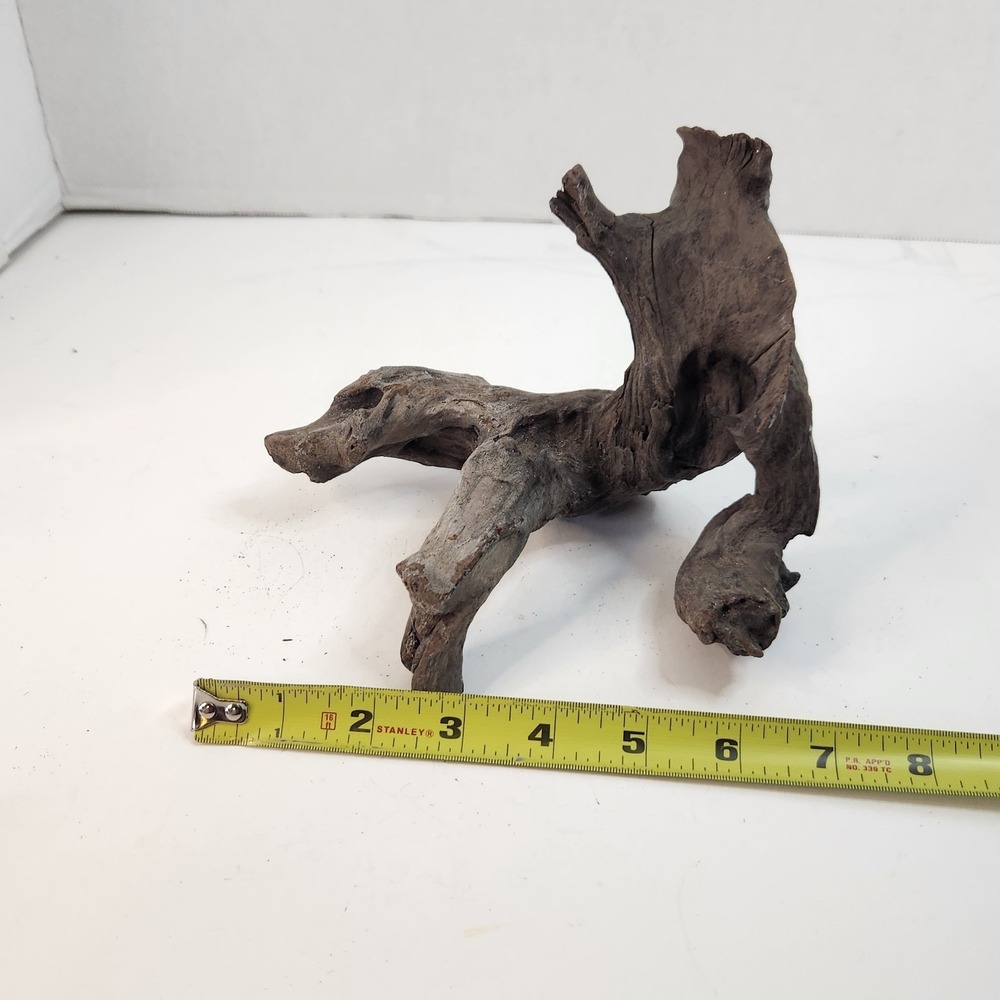 Natural driftwood for aquarium/terrarium/arts and crafts/Taxidermy Burl Habitat